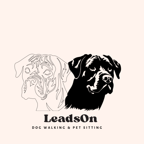 LeadsOn-2
