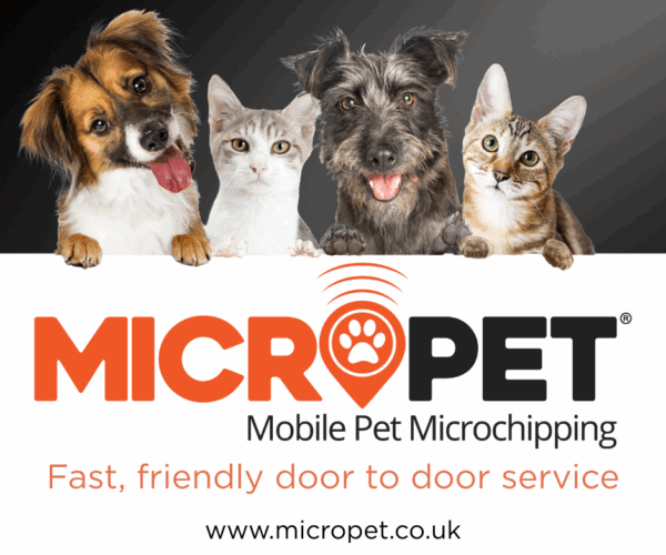 Untitled-2024-09-08T134857.809