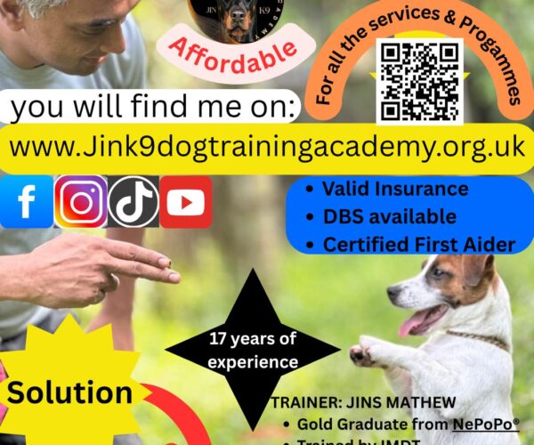 72ce8630-cd1c-4c90-a1ef-7a9dc5e25fae