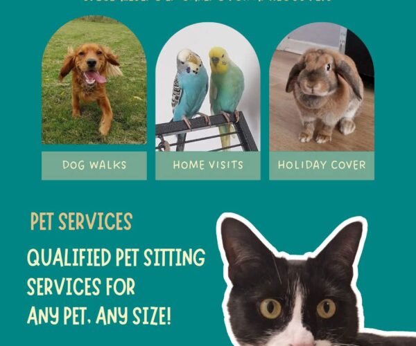 inbound8700026318971800322