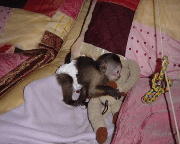 014B3D96-5E3B-4D65-8DF5-F1C68ADE984D