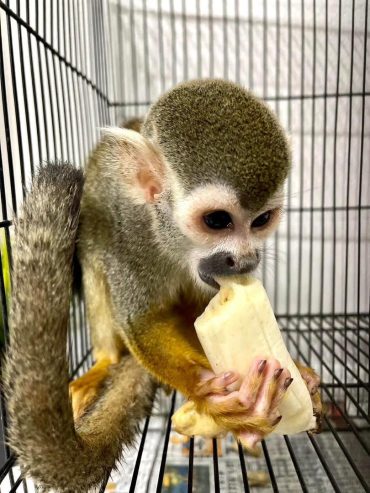 1000005798-370×493-1