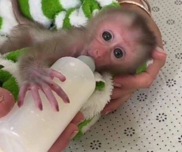 18a9d029-019e-45c4-b5e4-24d7323f7399-opt