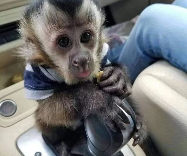 23dedbe7-9550-4ead-9666-9239e6b8da58-1