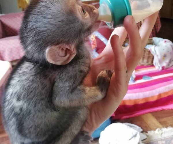 23dedbe7-9550-4ead-9666-9239e6b8da58