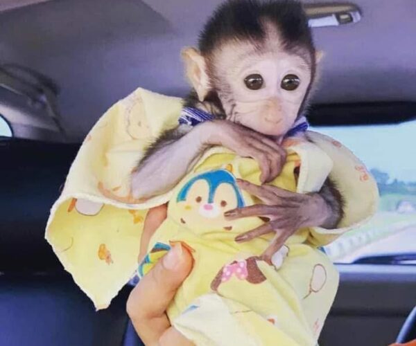 8021743B-7A6D-4D6D-A1FC-A8DC4D0A2EC7