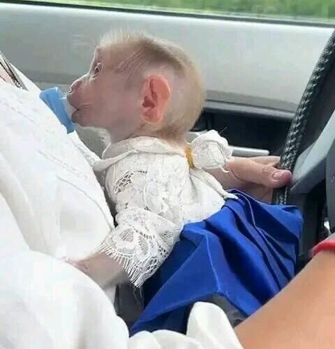 82092AD4-64A2-4F08-A051-2C7318862DBC