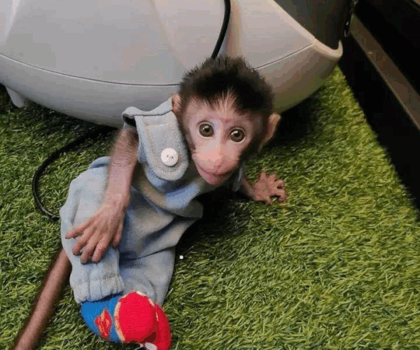 A1B5BFEA-FAF9-4C61-907A-00054111D50A