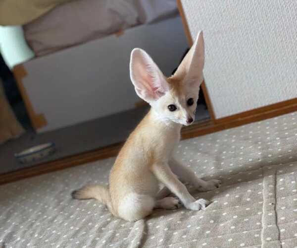 D42146BA-C81E-45D6-843D-1052BE58BADF