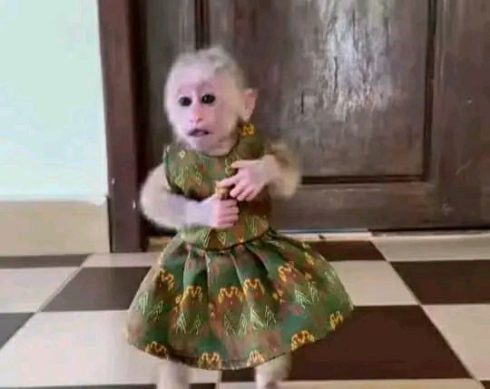 DE38524A-6647-4A8E-90DF-F90BA7E7D190