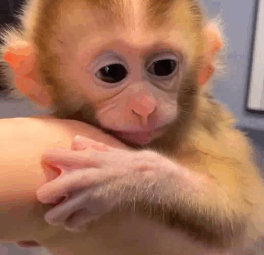 F39F01DB-4B85-4668-A7CC-3990ABFEA223