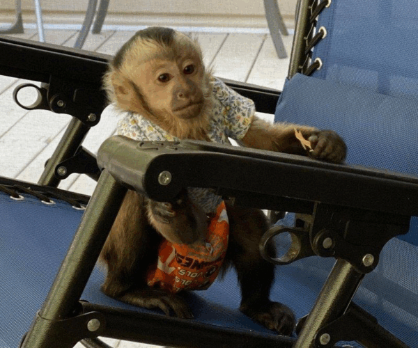 2E6E82F9-CA15-4662-94B2-B7E17D31C41F