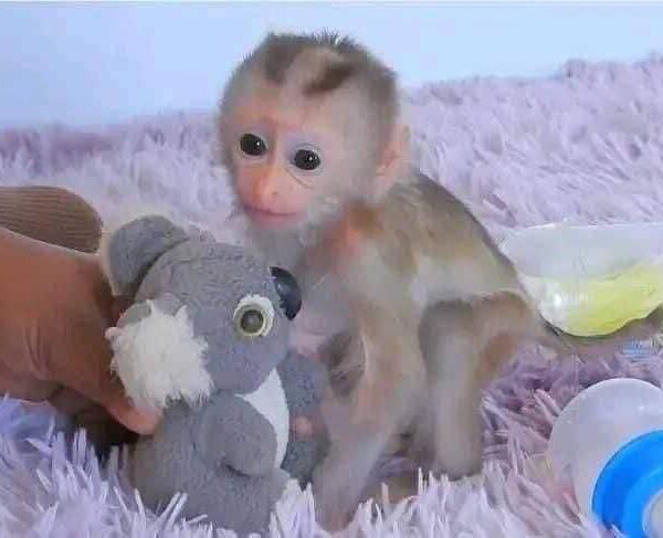 552D44C9-5DD0-48A8-8491-574307A4F440