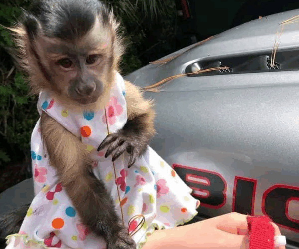 D474014F-4700-4738-841A-2E04D7FECD79