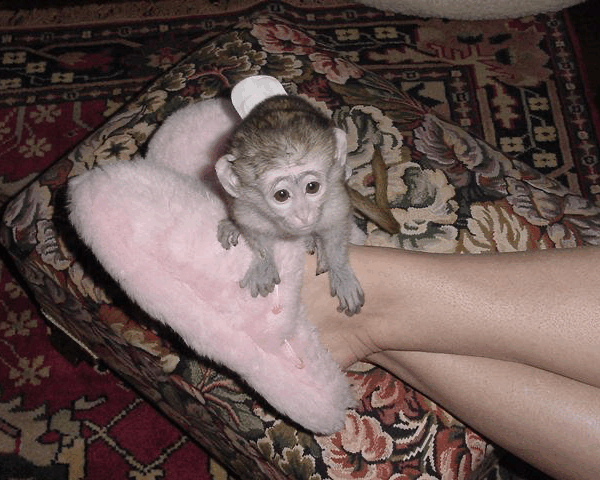 F397D2C6-629C-4FAC-B280-EF2062F86082