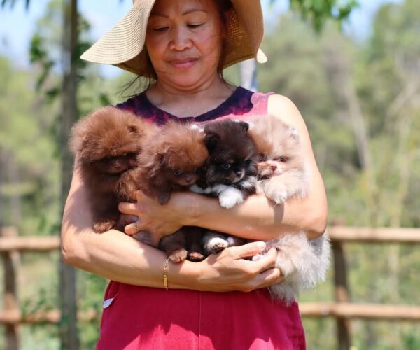 sssssssssssssssssssssssss-14