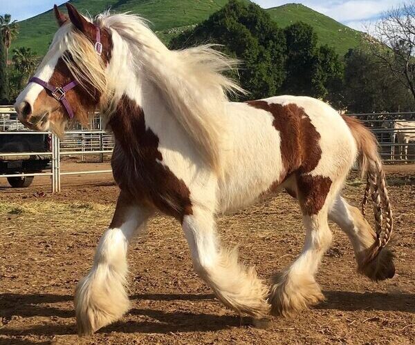 wwwwwwwwwwwwwwwwwwwwwwwwwwwwwwwwwwwwww-15