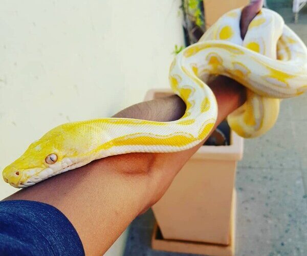 wwwwwwwwwwwwwwwwwwwwwwwwwwwwwwwwwwwwww-21