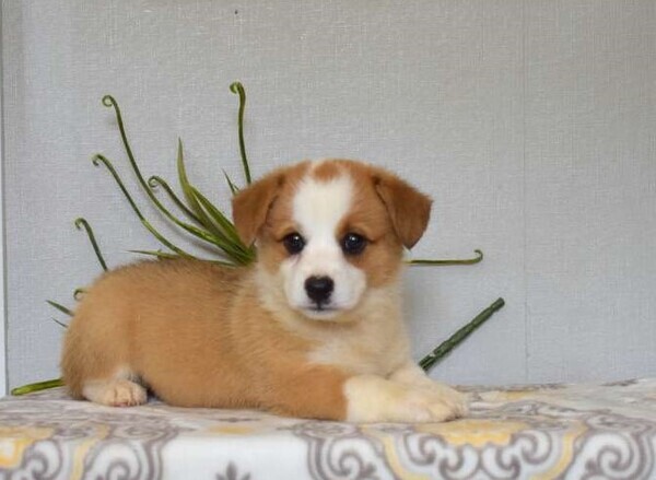 wwwwwwwwwwwwwwwwwwwwwwwwwwwwwwwwwwwwww-40