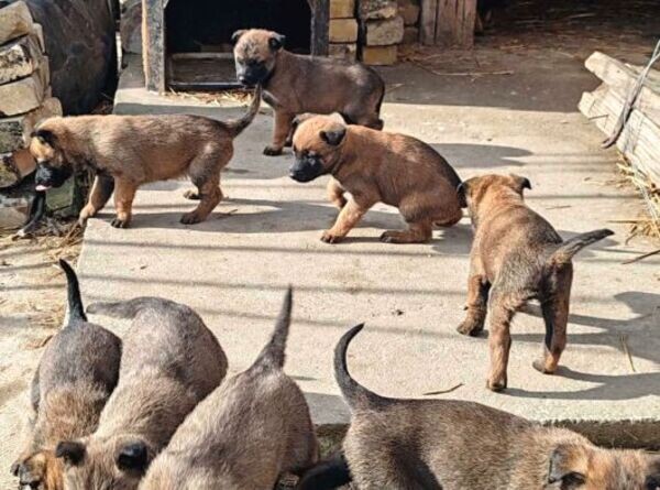 wwwwwwwwwwwwwwwwwwwwwwwwwwwwwwwwwwwwww-42