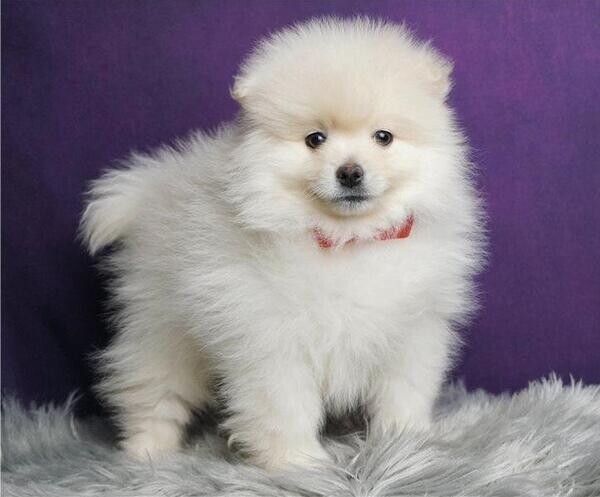 wwwwwwwwwwwwwwwwwwwwwwwwwwwwwwwwwwwwww-44