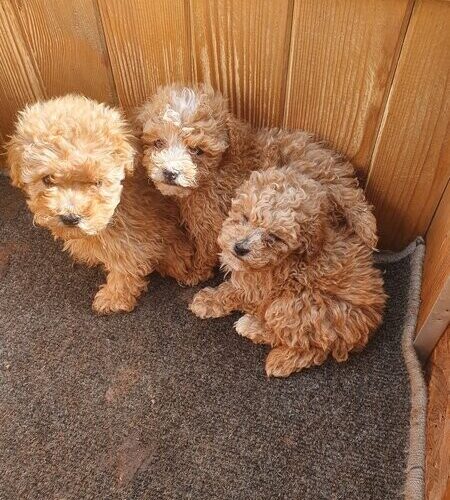 wwwwwwwwwwwwwwwwwwwwwwwwwwwwwwwwwwwwww-45