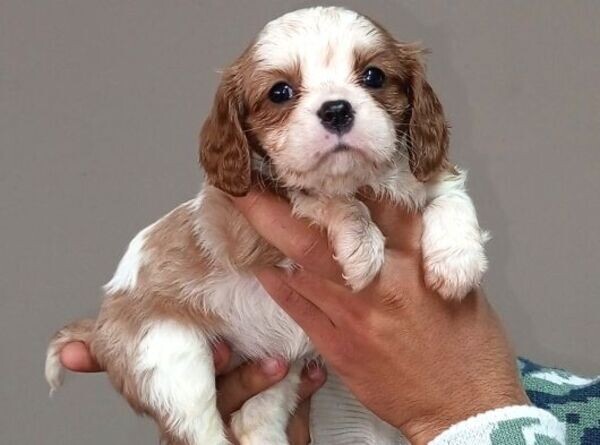 wwwwwwwwwwwwwwwwwwwwwwwwwwwwwwwwwwwwww-49