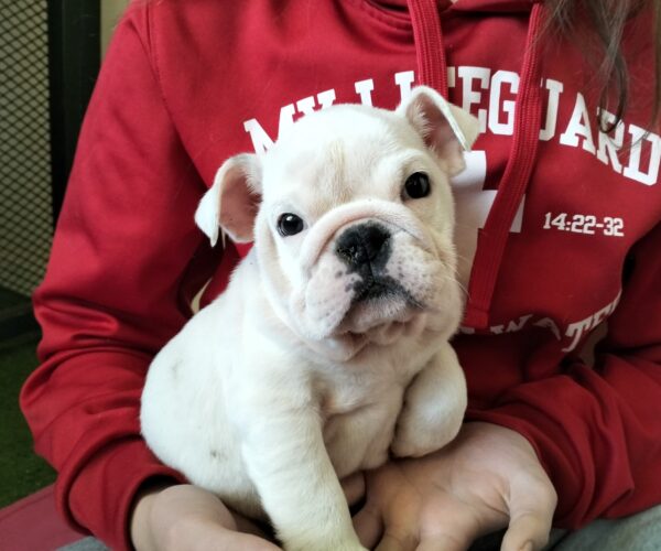 480648711_968238372104013_6466596361800778251_n